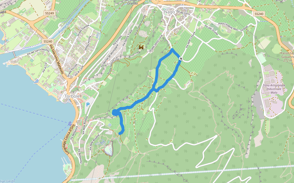 Parco degli olivi