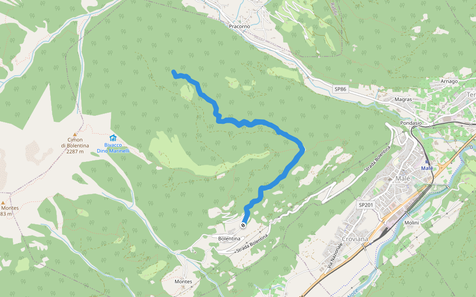 Strada forestale Plaza Longa walking route map in Bolentina