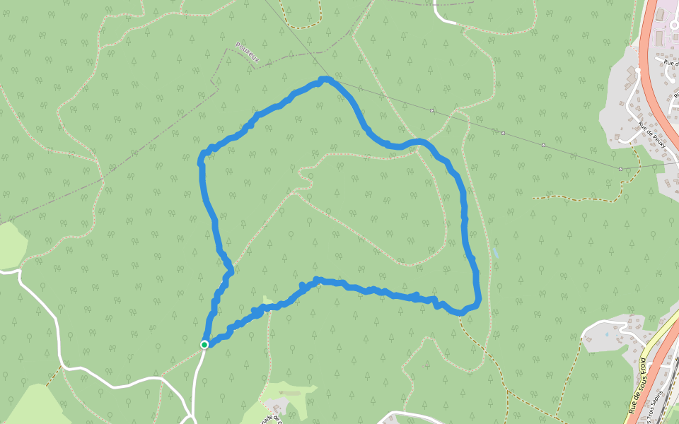 Tour de Saint-Nabord walking route map in Saint-Nabord