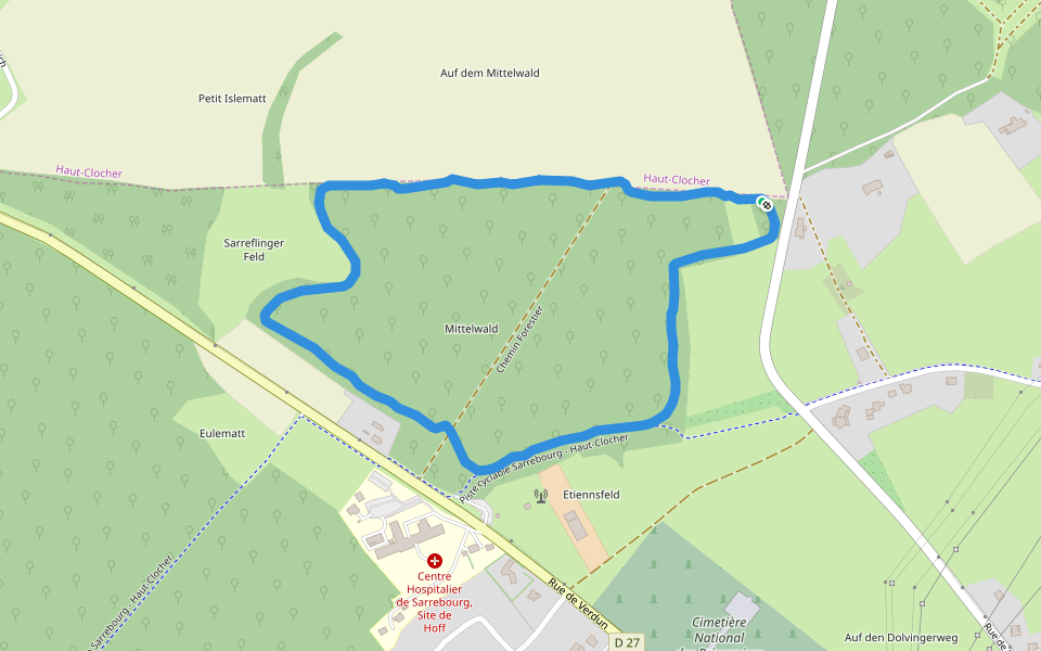 Mittelwald walking route map in Sarrebourg