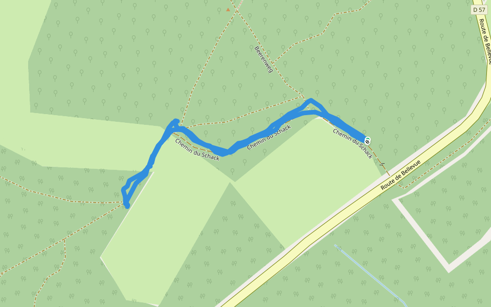 Chemin du Schack