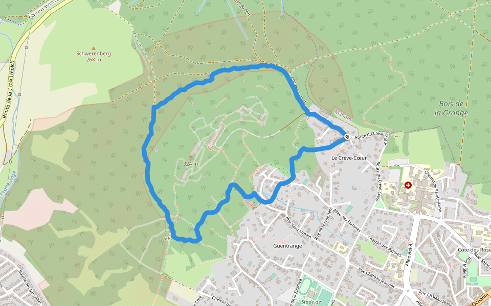 Bois de la Grange