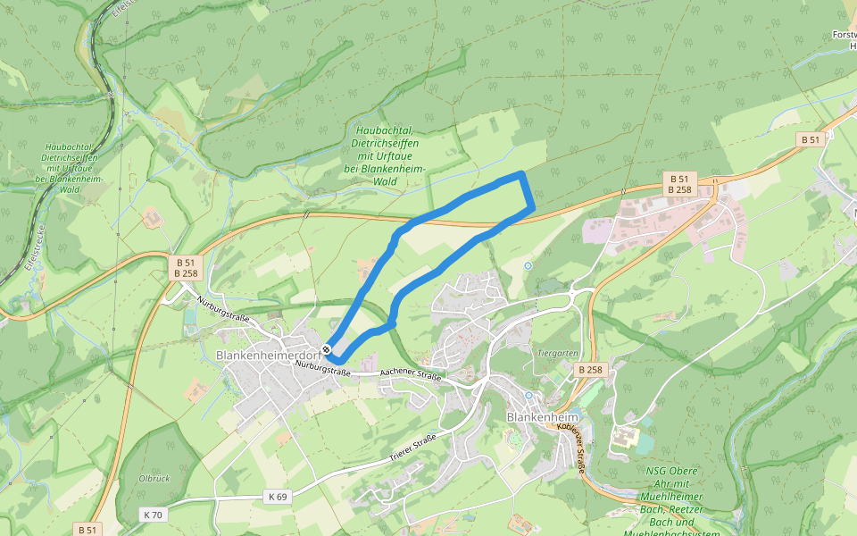 NSG Ehemalige Ahrtalbahntrasse bei Blankenheim