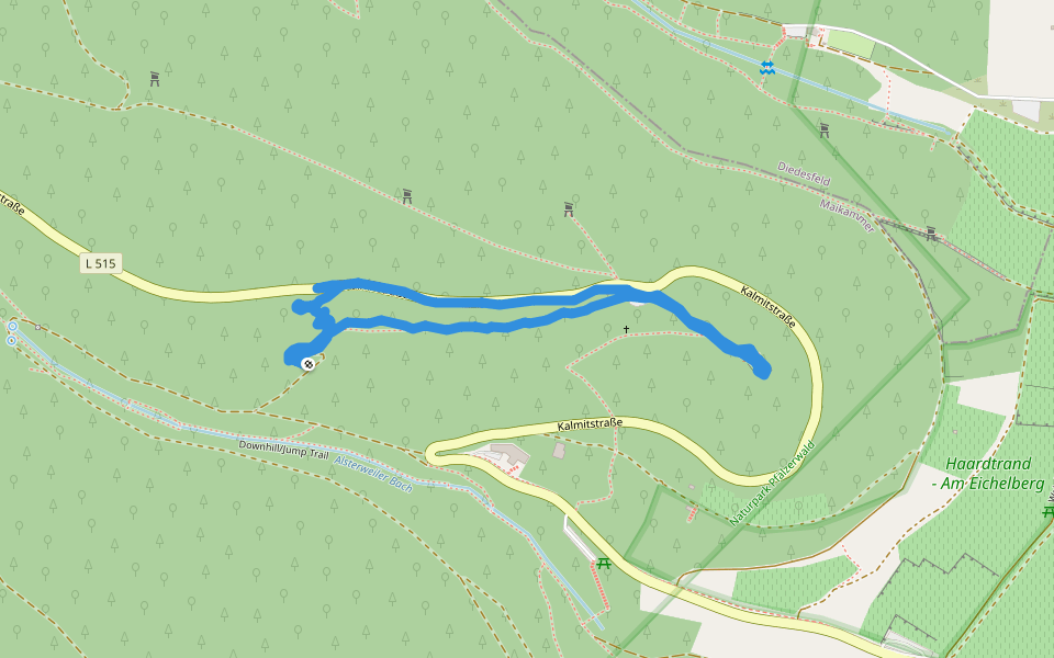 Downhill/Jump Trail walking route map in Maikammer
