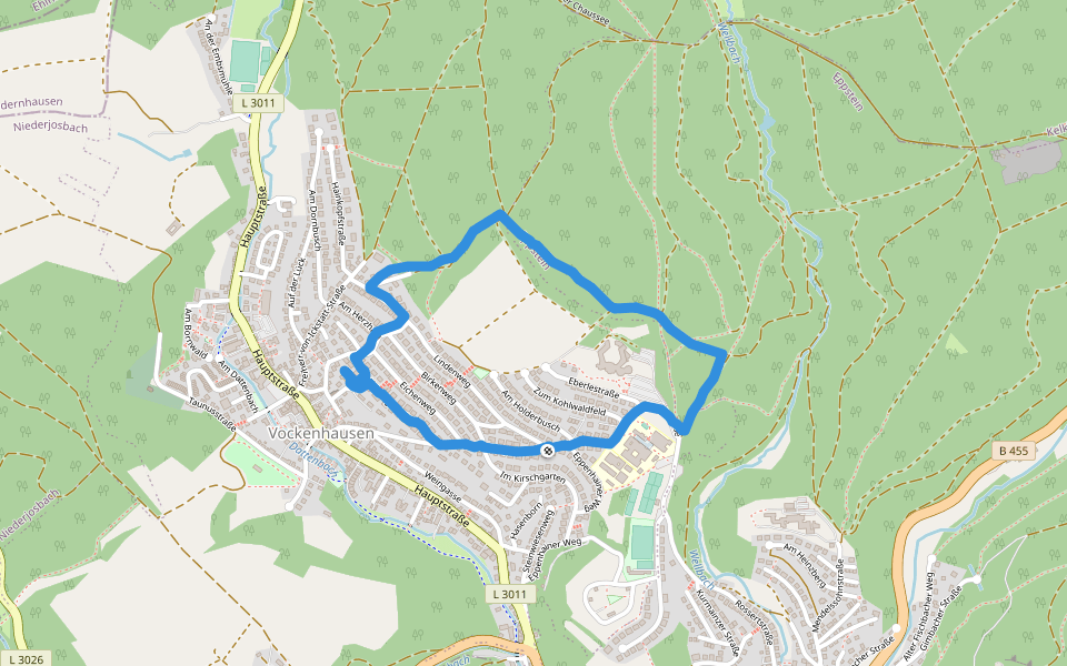 Vockenhausen (Kohlwald) walking route map in Eppstein
