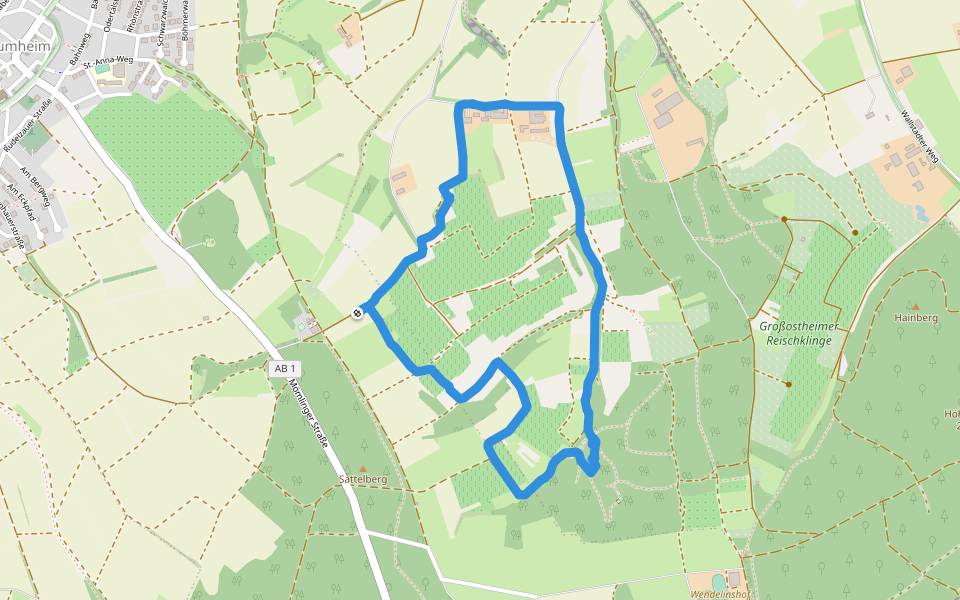 Sattelberg walking route map in Großostheim