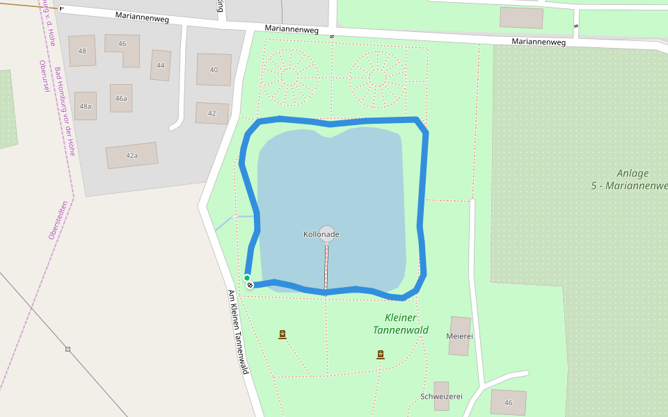 Kleiner Tannenwald