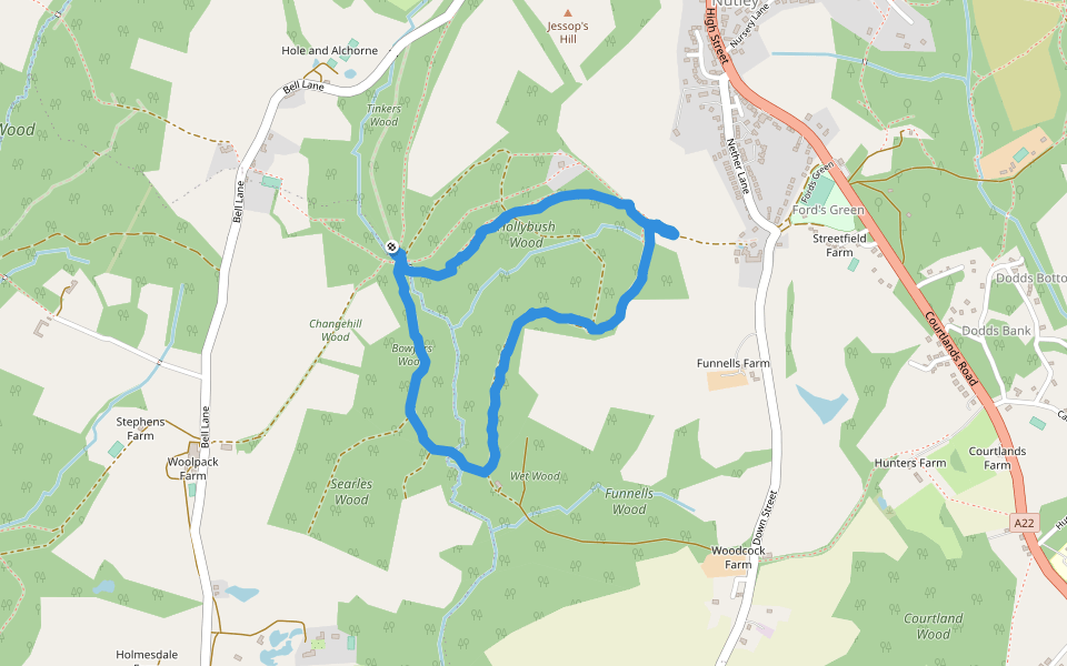 Funnells Wood walking route map in Nutley