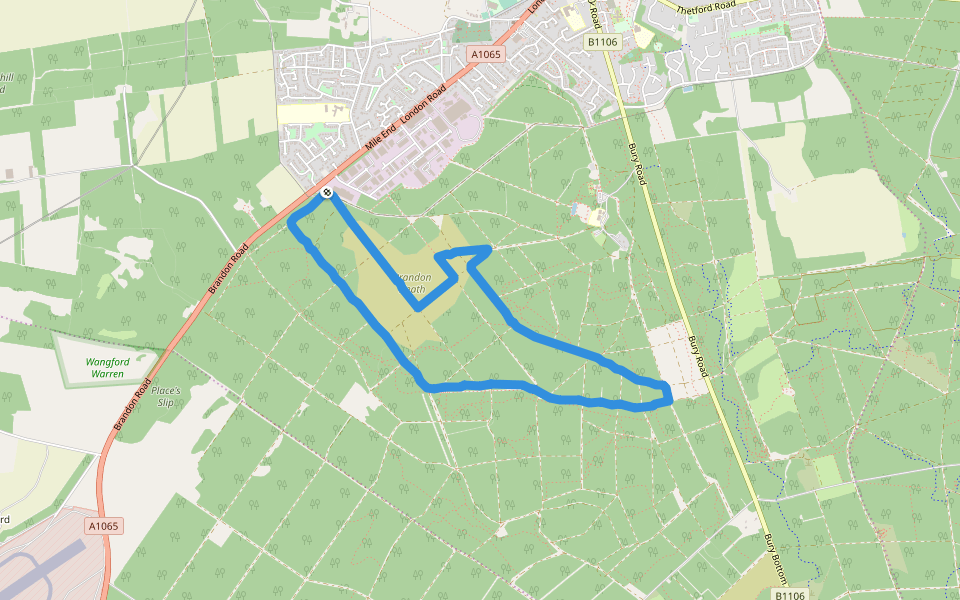 Brandon Heath walking route map in Brandon