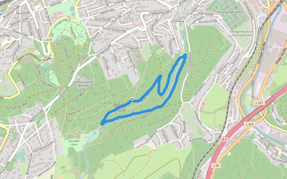 Barmer Wald