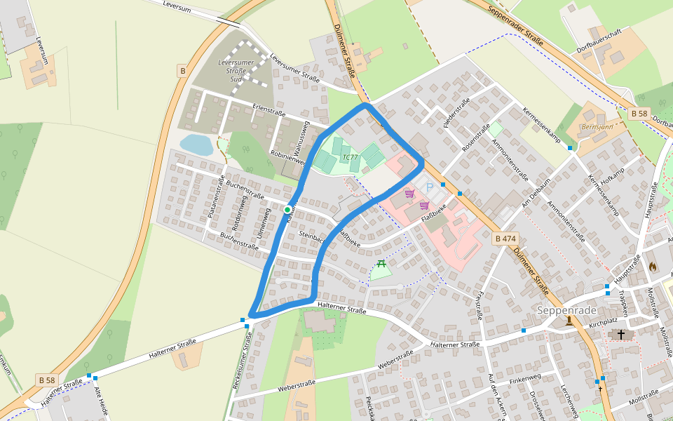 TC77 walking route map in Lüdinghausen