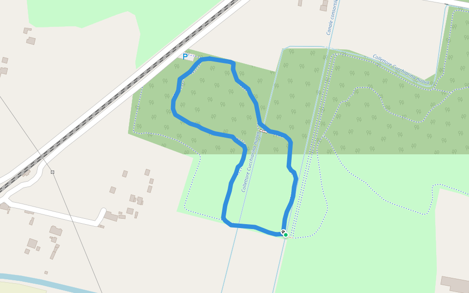 Bosco Querini-Ottolenghi