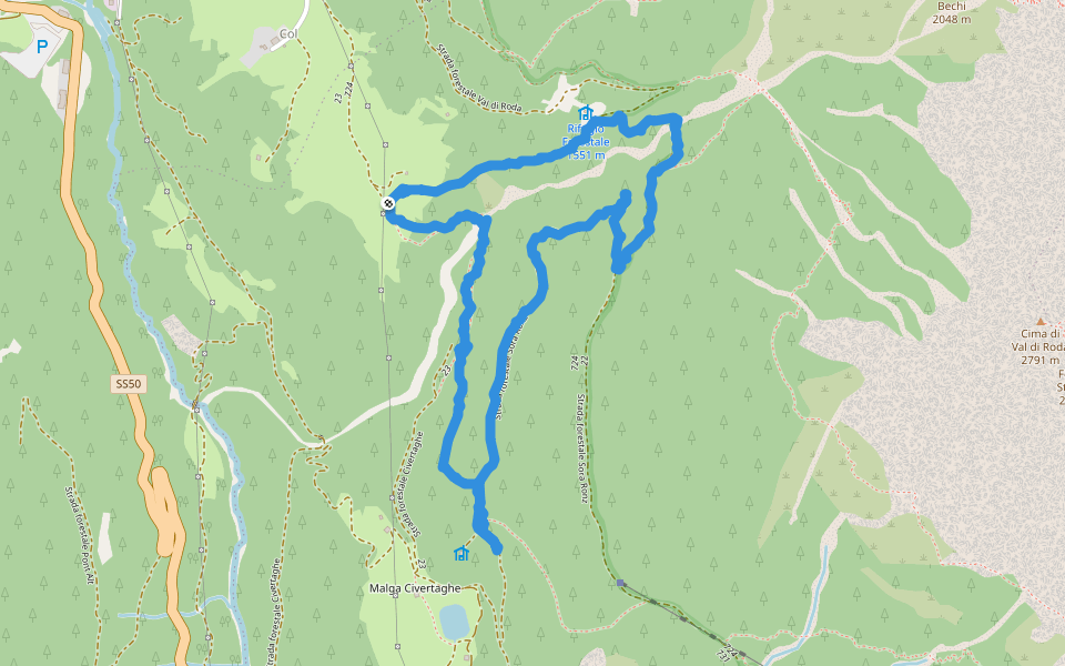 Strada forestale Sora Ronz
