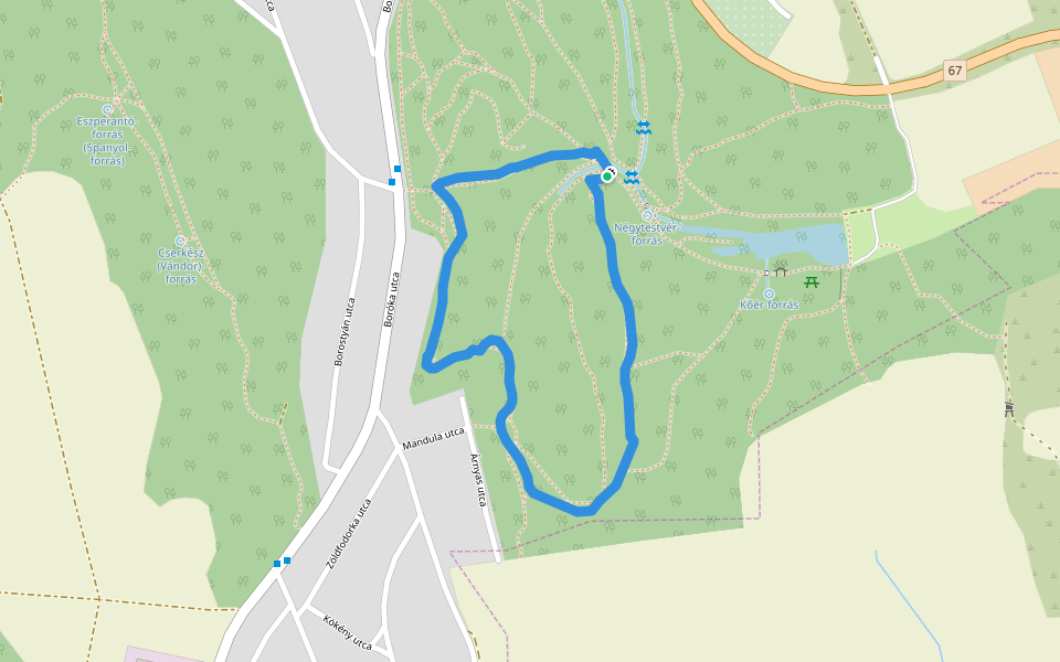 Gyertyános parkerdő walking route map in Kaposvár