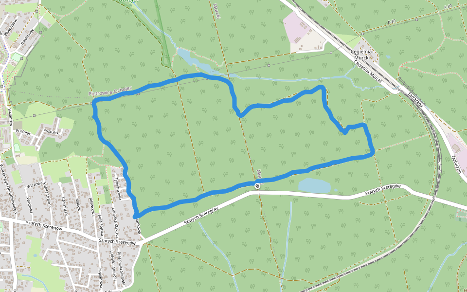 Lasy Murckowskie walking route map in Katowice