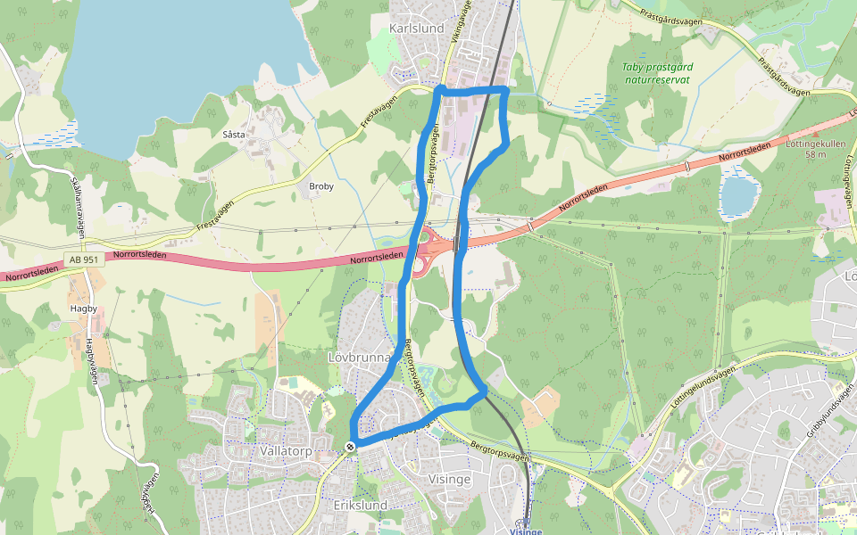 Visingedammarna