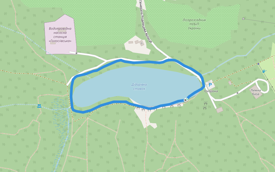 Голосіївський ліс