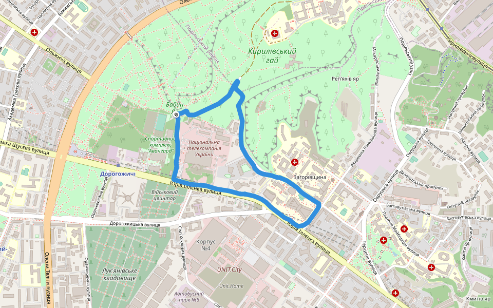 Кирилівський гай