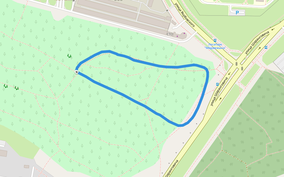 Лесопарк Медвежино