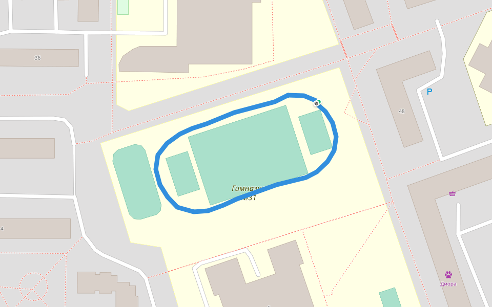 Гимназия №31