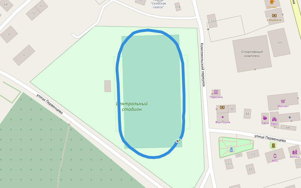 Центральный стадион