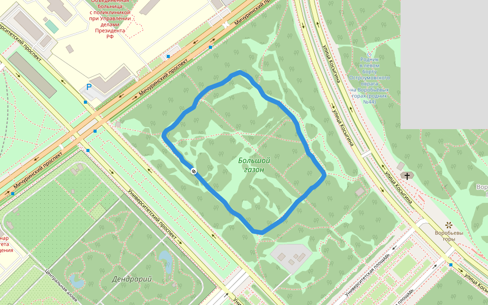 Большой газон