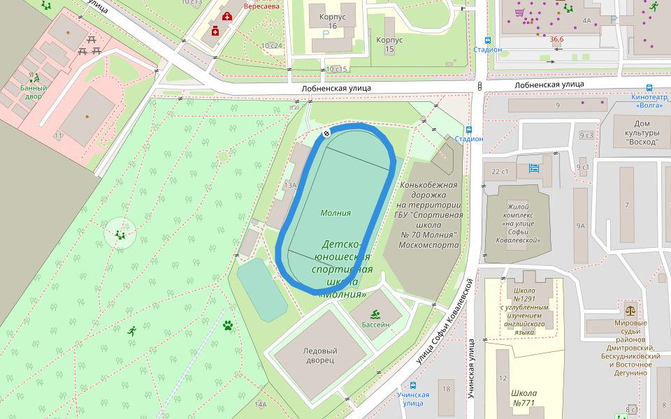 Детско-юношеская спортивная школа «Молния»