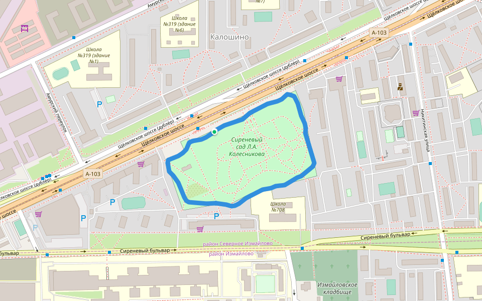 Сиреневый сад Л.А. Колесникова