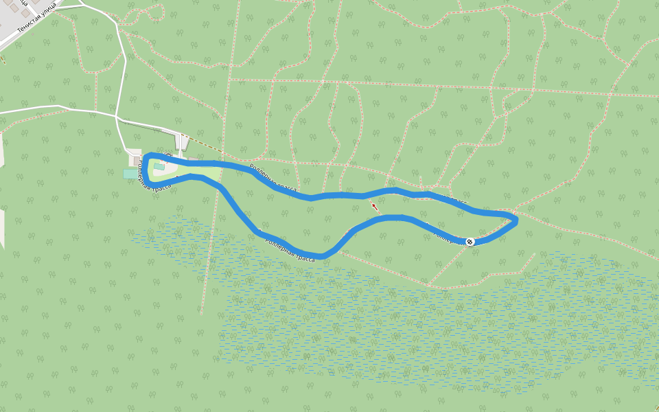 Большая Усманская Дача