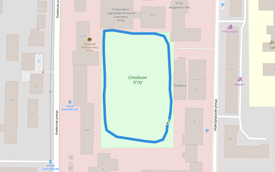 Стадион ТГПУ walking route map in Tomsk