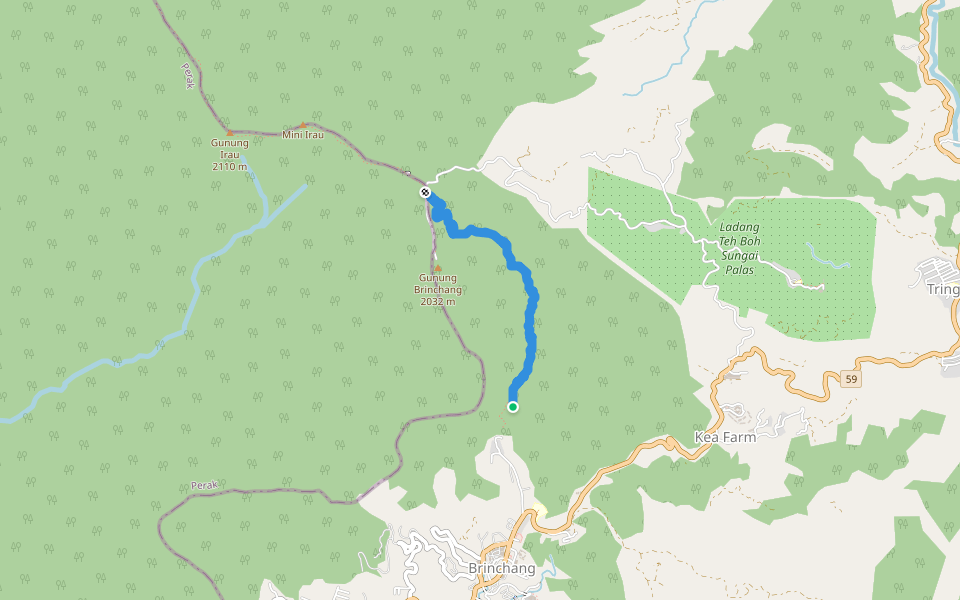 Gunung Brinchang Barat 2005m walking route map in Brinchang