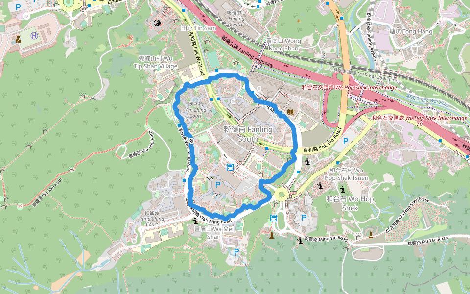 和興遊樂場 Wo Hing Playground