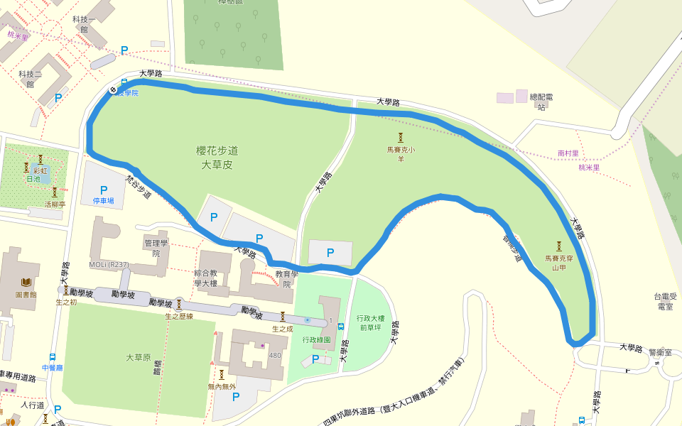 櫻花步道大草皮