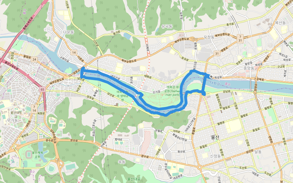 태화강 대공원(Taehwa river park)