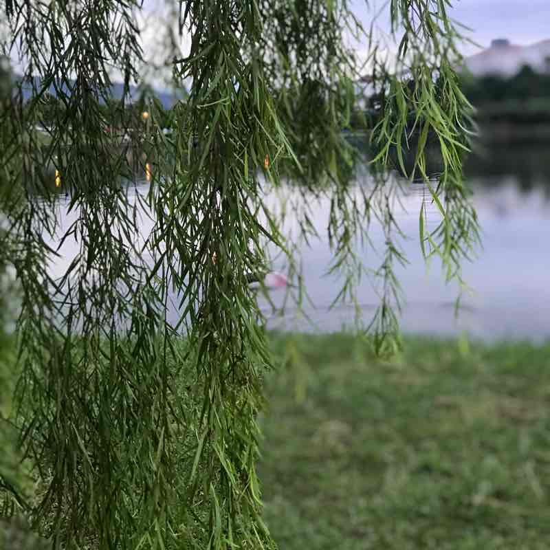 Lake Valley Bandar Tun Hussein Onn