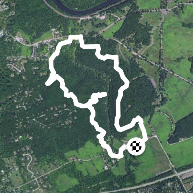 Joy Misery -thendown and right back up Wolfinger