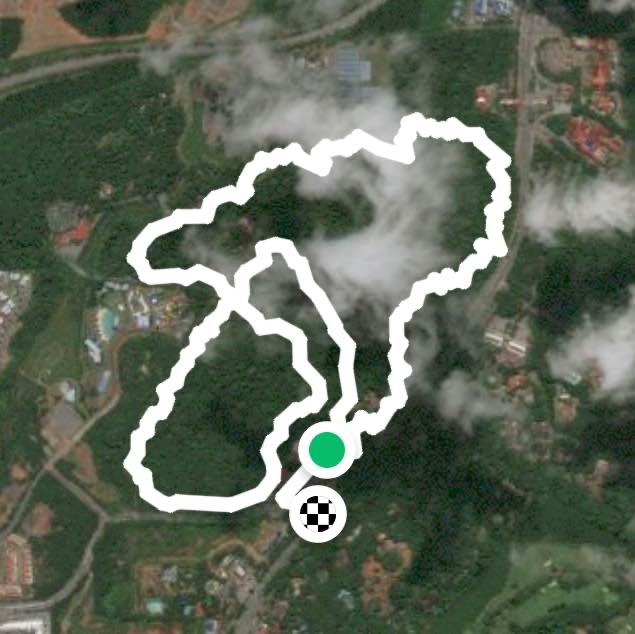 A walk at Botanical Park