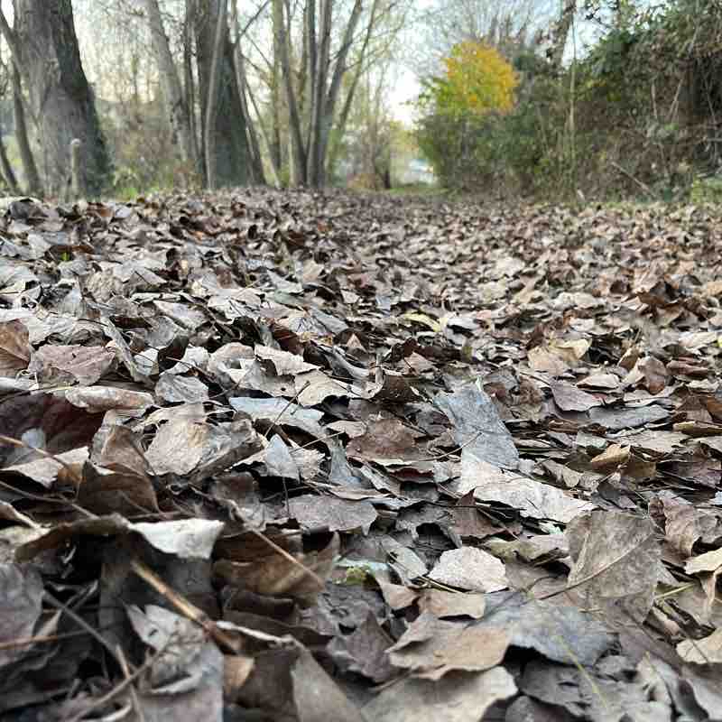 Passeggiata lungo l’argine sinistro dell’Adige.