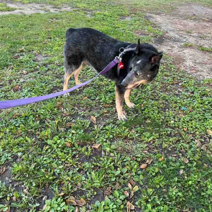 Charlie Sat PM Nov 6