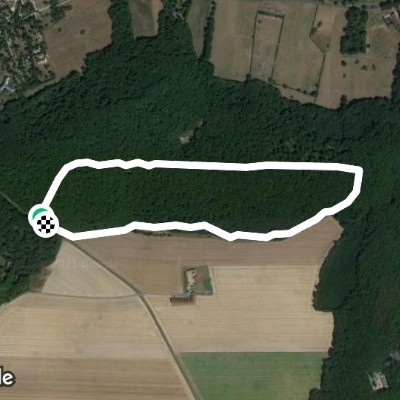 Forêt Départementale de Méridon, bois de Vossery