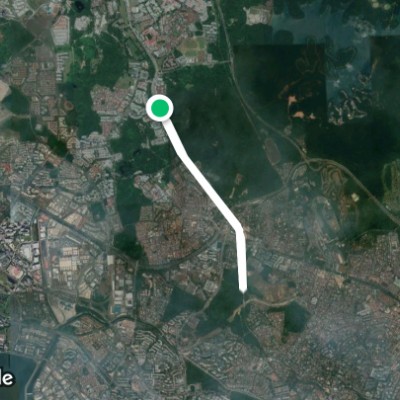 Bukit Timah Nature Reserve