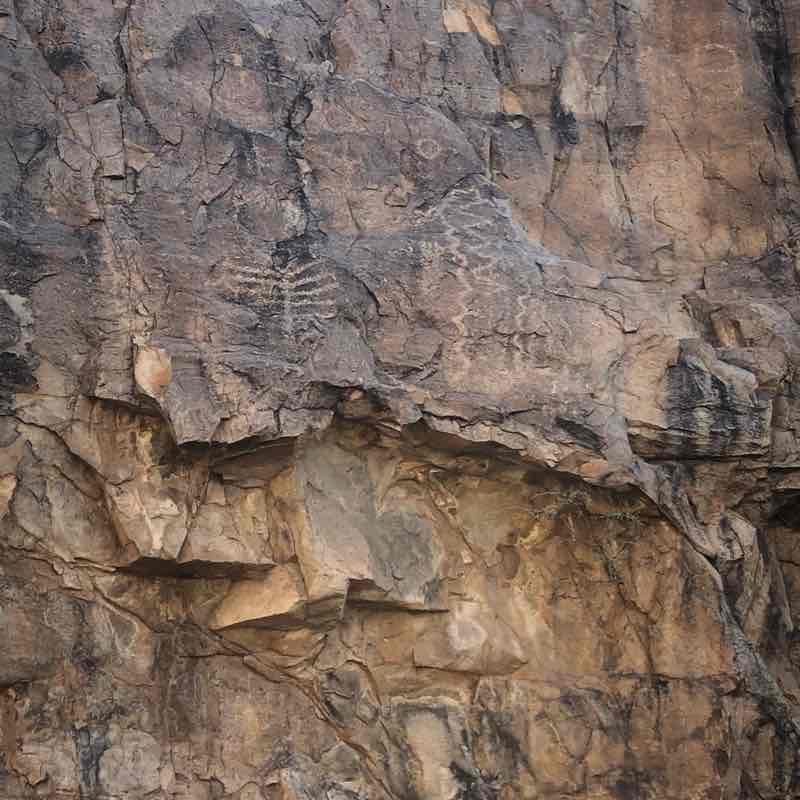 King Canyon- Esperanza-Gould Mine Loop