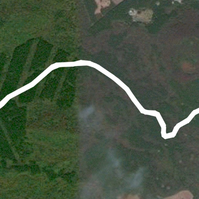 제주 샤려니 숲