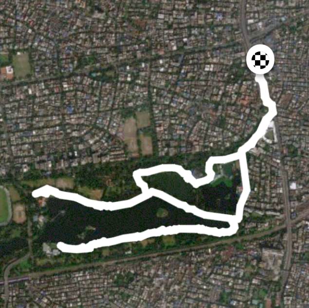 Tuesday Morning Walk