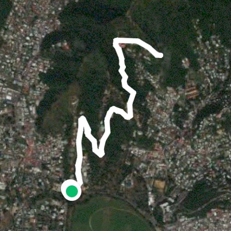 Chancellor Sunday Morning