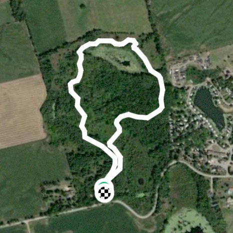 Dickson wilderness area