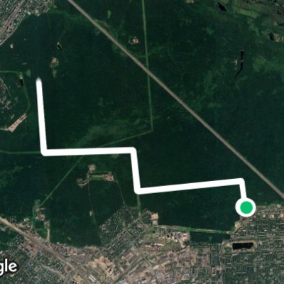 на лыжах по лосиному острову