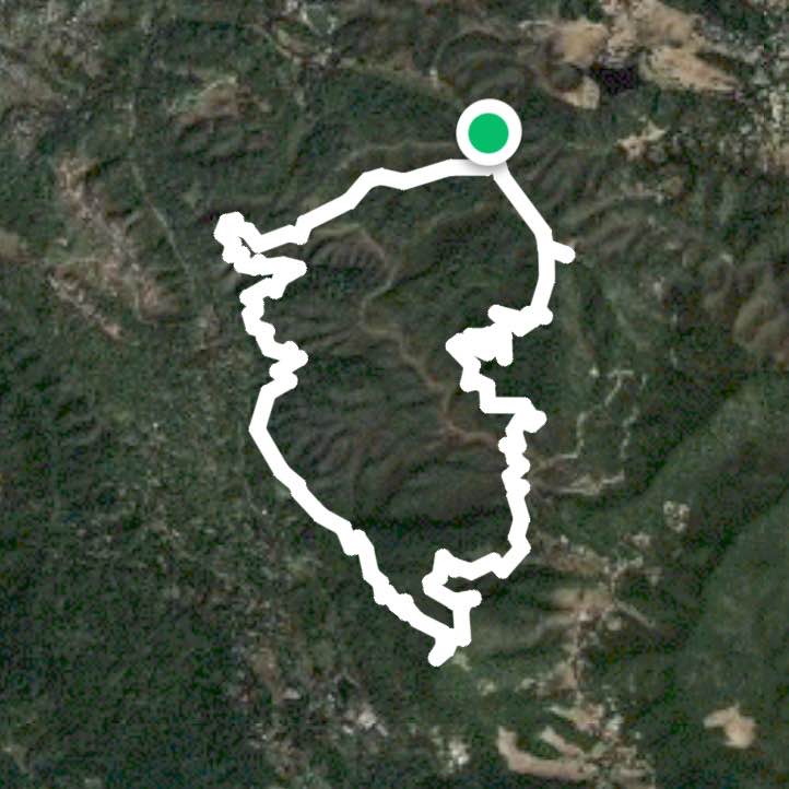 Los Trancos Fern Trail Loop