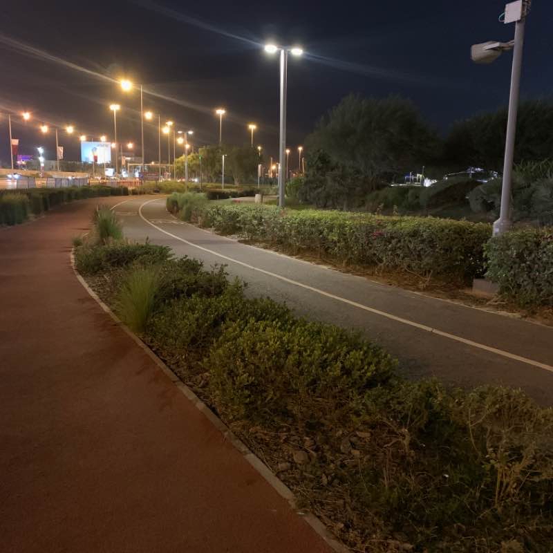 A bidda park walking trail