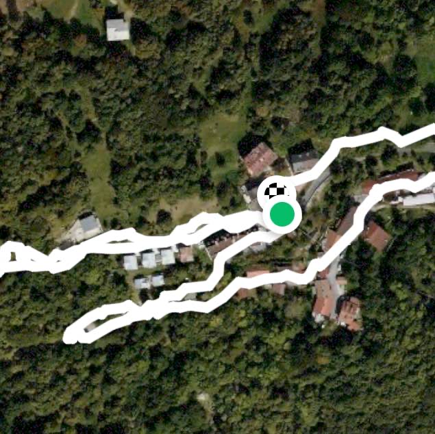 Passeggiata notturna con cane